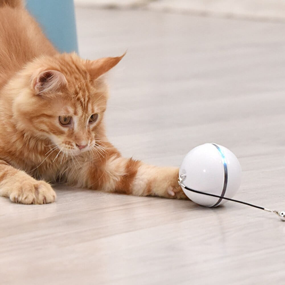 This is a SMART PET BALL