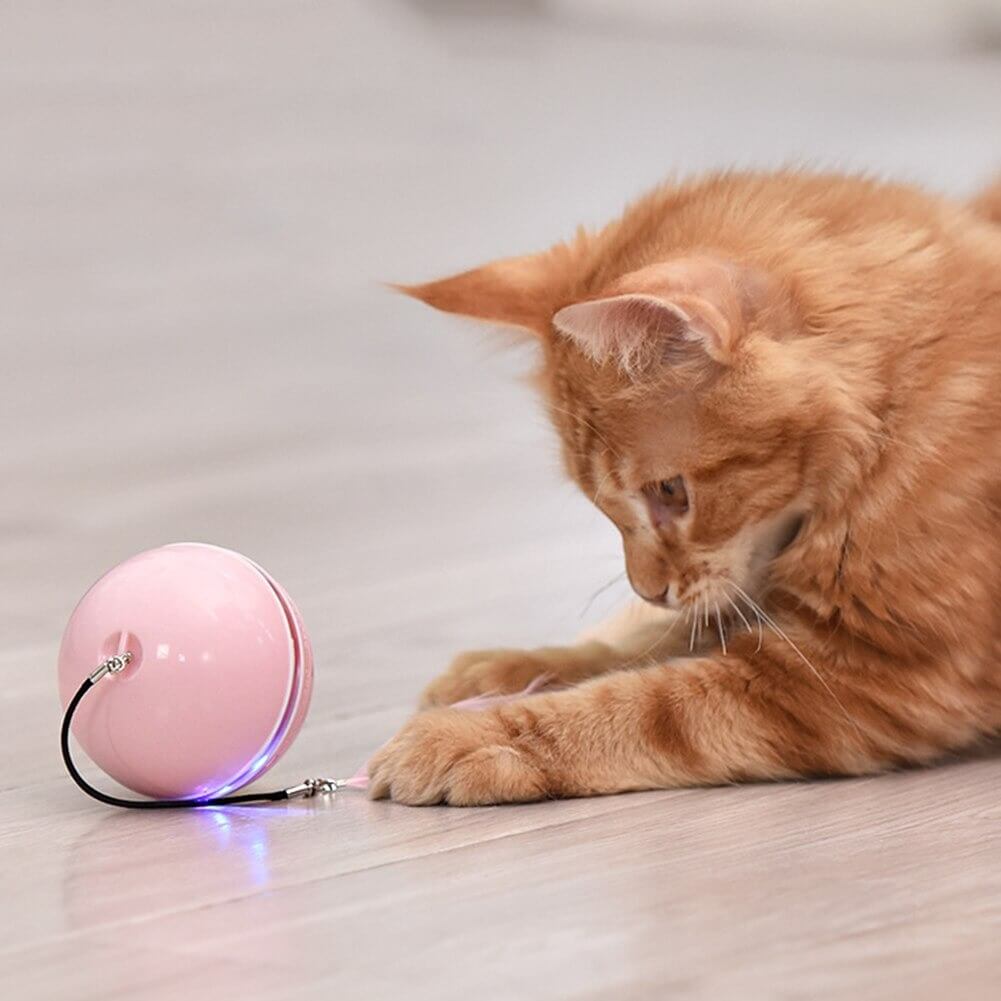 This is a SMART PET BALL