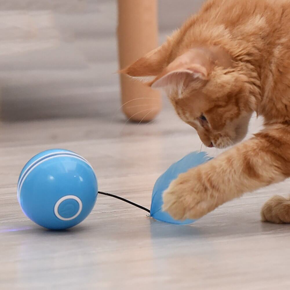 This is a SMART PET BALL