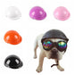This is a Pet Funny Cool Bike Helmet Hat