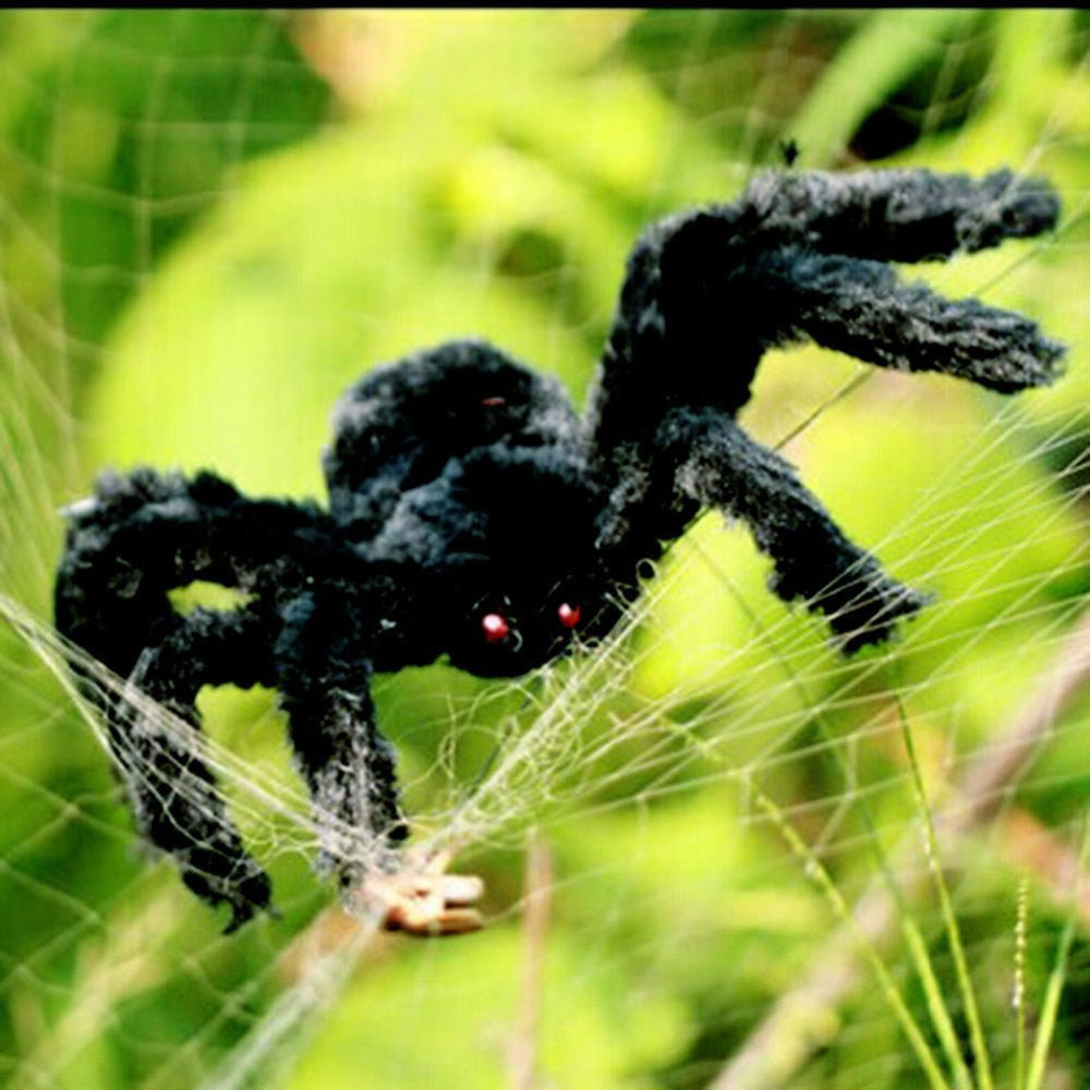 This is a Super big plush spider