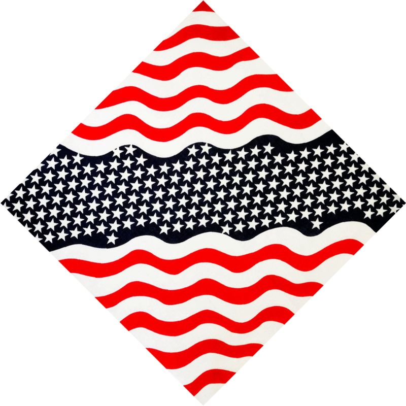 American USA Flag Bandana