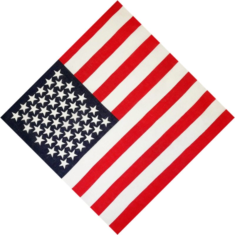 USA Flag Eagle Bandana