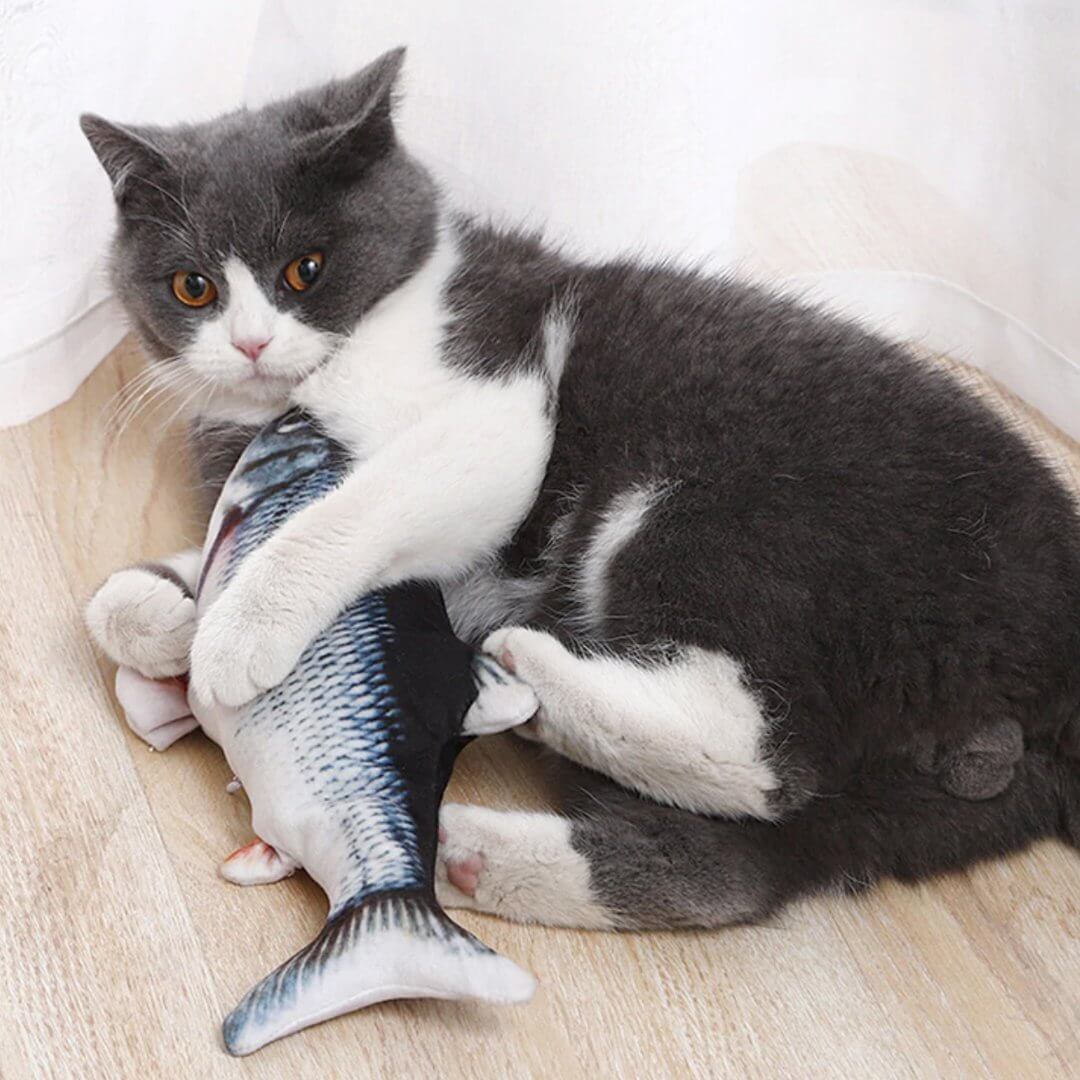 This is a FISH CAT TOY