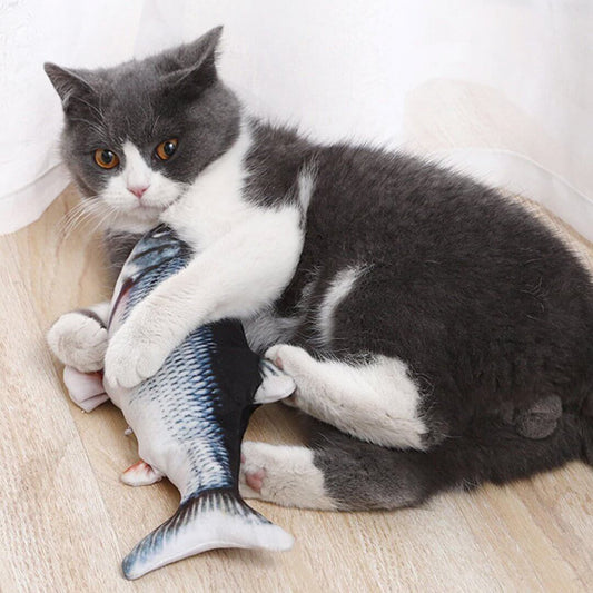 This is a FISH CAT TOY